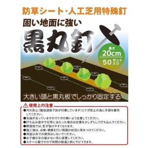 防草シート押え 黒丸釘 50本セット 20cm...の詳細画像2