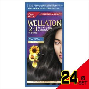 ウエラトーン2+1クリームタイプ6SA × 24点の商品画像