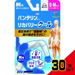 バンテリンリカバリークールSMサイズパールホワイト × 30点