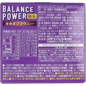 ヘルシークラブ バランスパワービッグ カカオブ...の詳細画像1