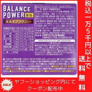 ヘルシークラブ バランスパワービッグ カカオブ...の詳細画像2