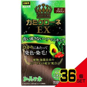 カミクローネEX ダークブラウン 80mL × 36点の商品画像