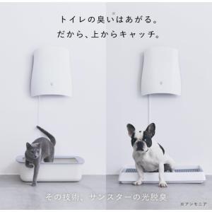 サンスター 空間除菌脱臭機 QAIS-air-03 フィルター交換不要 工事不要