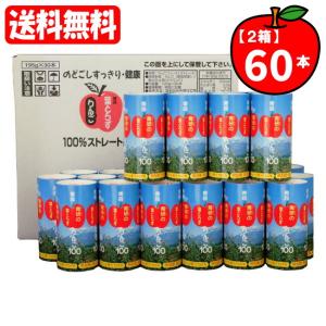 【送料無料[単品配送]】青研の葉とらずりんごジュース 2ケース (195g×60本)(4958757000506x2) 青研 (送料無料は九州・沖縄・離島をのぞく)FOC