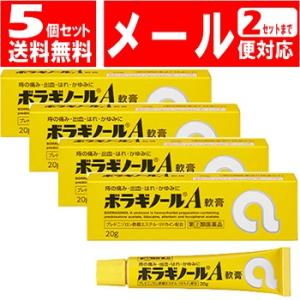 【送料無料[メール便02]】ボラギノールA軟膏 5個セット (20gx5個)(49879781010...