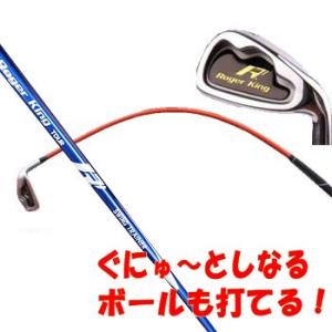広田ゴルフ ゴルフ練習器具 ロジャーキング スイングドクター 広田ゴルフ ゴルフ練習器具 ロジャーキング スイングドクター