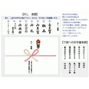 日本製 白タオル のし名入れタオル 名刺ポケッ...の詳細画像2