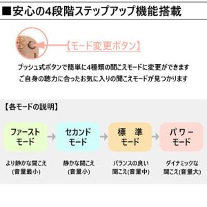 専用空気電池 2パックプレゼント Nikon ...の詳細画像4