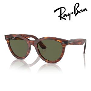 Ray-Ban（レイバン） 偏光サングラス RB4401D 659981 57mm