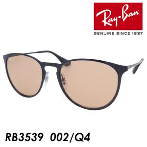 Ray-Ban レイバン 偏光サングラス ERIKA METAL RB3539 002/T3