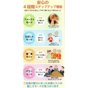 ニコン 耳穴式デジタル補聴器 イヤファッション...の詳細画像3