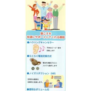 ニコン 耳穴式デジタル補聴器 イヤファッション...の詳細画像4