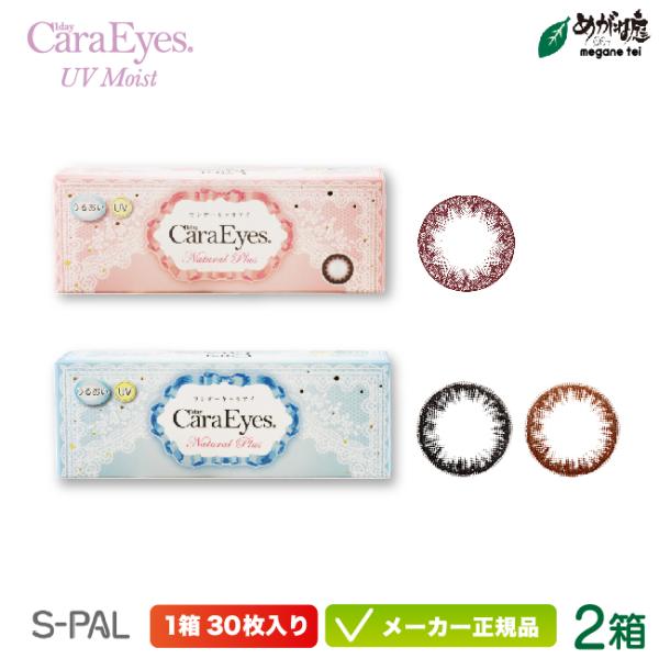 カラコン エスパル ワンデーキャラアイ UVモイスト ナチュラルプラス 2箱セット  chay 高発...