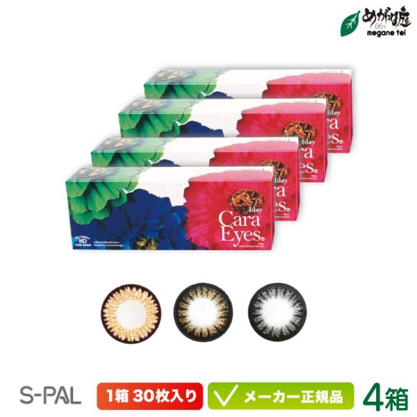 カラコン エスパル ワンデーキャラアイ 4箱セット chay 高発色 フチあり 低含水 パーティー ...