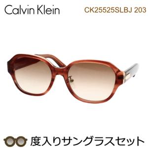 ck Calvin Klein カルバンクライン度入りサングラスセット CK24530SLB