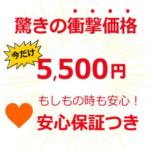 【度入り完成品・保証付き】CONVERSE C...の詳細画像2