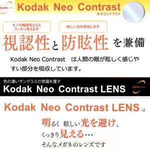 Kodak Sight585 ハイコントラスト...の詳細画像2