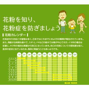メガネの上からかけられる スカッシーオングラス...の詳細画像2