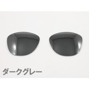 オークリー フロッグスキン OO9245用 交...の詳細画像1
