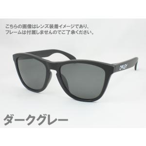 オークリー フロッグスキン OO9245用 交...の詳細画像5