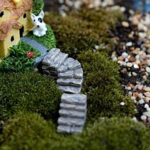 苔テラリューム コケテラリューム マイクロ風景...の詳細画像2