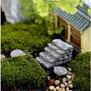苔テラリューム コケテラリューム マイクロ風景...の詳細画像3