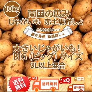 大きいじゃがいも！BIG(ビッグ)サイズ混合 2L以上〜10kg 新じゃがいも 送料無料 赤土 九州鹿児島徳之島産 にしゆたか 長期保存 箱買い 産地直送 じゃが芋