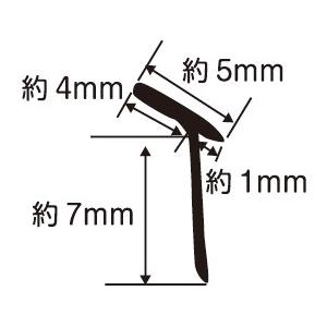 TPO-DX エアロモールの詳細画像1