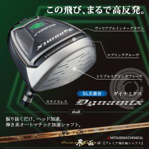 ドライバー ダイナミクス 46インチ ルール適...の詳細画像3