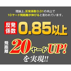 ドライバー ダイナミクス プレステージ 46イ...の詳細画像5