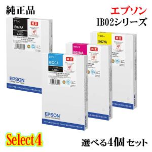 セレクト4【 純正品 選べる4個セット】EPSON エプソン インクカートリッジ IB02A 4個セット ブラック 1個と選べるカラー 3個｜megurie