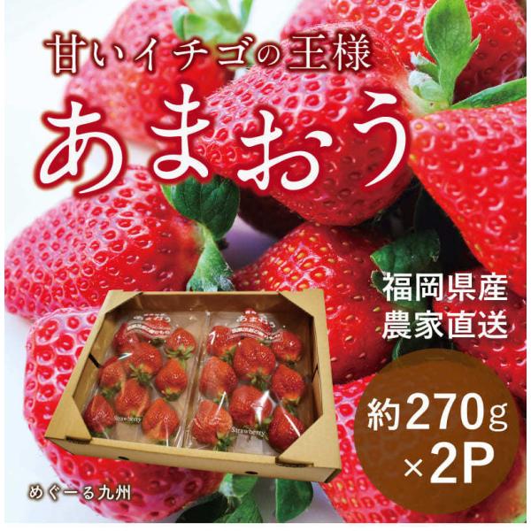 福岡県産 あまおう いちご イチゴ 苺 朝採り 農家直送 産地直送 お取り寄せ 甘い 美味しい 濃厚...