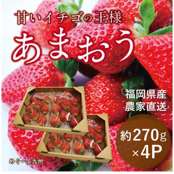 福岡県産 あまおう いちご イチゴ 苺 朝採り 農家直送 産地直送 お取り寄せ 甘い 美味しい 濃厚...