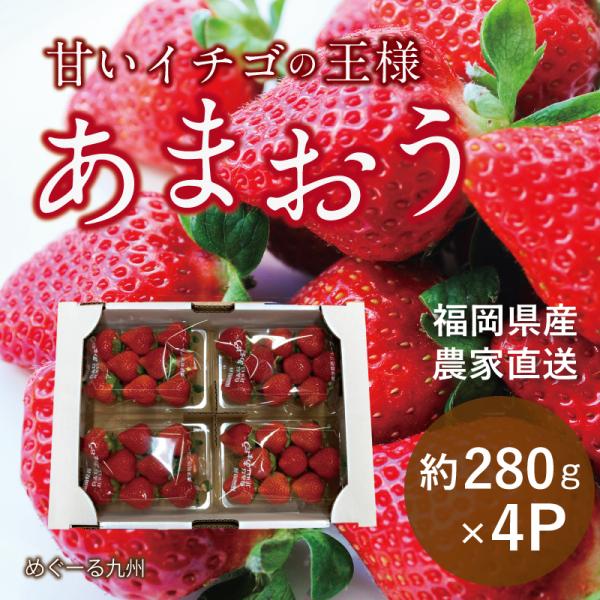 福岡県産 あまおう いちご イチゴ 苺 朝採り 農家直送 産地直送 お取り寄せ 甘い 美味しい 濃厚...
