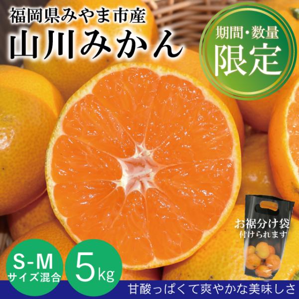 【期間限定・在庫限り】山川みかん 5kg S-Mサイズ混合 福岡県産 みやま市産 旬 産地直送 農家...