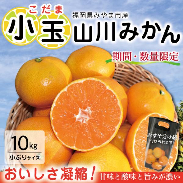 【期間・数量限定】小玉みかん 10kg 山川みかん 小粒みかん 旬みかん 産地直送 農家直送 甘い ...