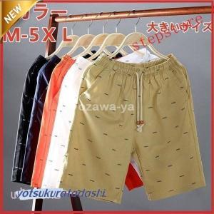 サーフパンツ水着夏水陸メンズ父の日レディース海パン水陸海水パンツサーフパンツサーフショーツショートパンツハーフパンツ短パン