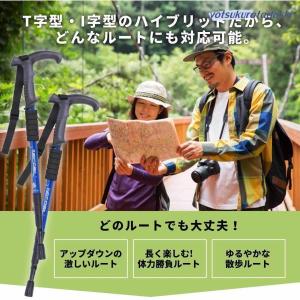 トレッキングポール 2本セット 4段階伸縮 ス...の詳細画像1