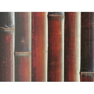 銘竹ボード 竹ベニヤ 染煤竹平割タテ貼6(尺)x3(尺) : めいぼくや