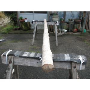 三菱 屋外照明 EL-S15041N/W VHJ　送料込み価格 法人様限定】三菱 EL-S15041N/M VHJ LED投光器 屋外用【受注品