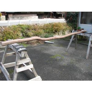 変木 サルスベリ 3000x82~85~97 : めいぼくや webshop - 通販 - Yahoo