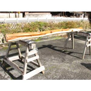 変木 本サルスベリ 3000x61~67~79 : めいぼくや webshop - 通販