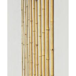 竹材 竹 人造錆竹 防虫処理 1950x23~25φmm 1本単価｜meibokuya-shop