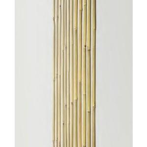 建築資材 図面角竹 引取り可能な方用のみ 竹材 竹 図面角竹 防虫処理 2950x113〜124mm 1本単価 : めいぼくや