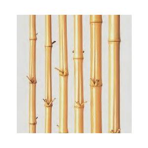 竹材 竹 芽付晒竹 さらし竹 サラシ竹 3950x44~52φmm 防虫処理 1本単価