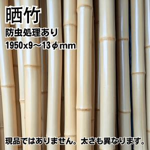 晒竹 竹材 竹 晒竹 さらし竹 サラシ竹 2950x33~34φmm 防虫処理 湯抜き加工品