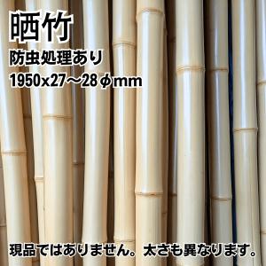 竹材 竹 晒竹 さらし竹 サラシ竹 1950x27~28φmm 防虫処理 湯抜き加工品 1本単価｜meibokuya-shop