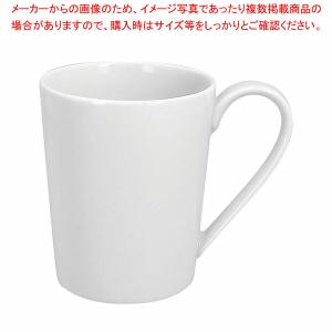 【まとめ買い10個セット品】アクセス マグ (12ヶ入)RA03304｜meicho2