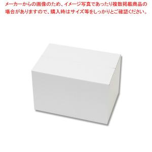 【まとめ買い10個セット品】HEIKO 白ダンボール A5用-150 20枚｜meicho2