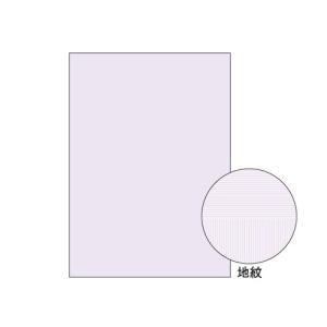 ヒサゴ コピー偽造予防用紙 BP2110 100枚｜meicho2